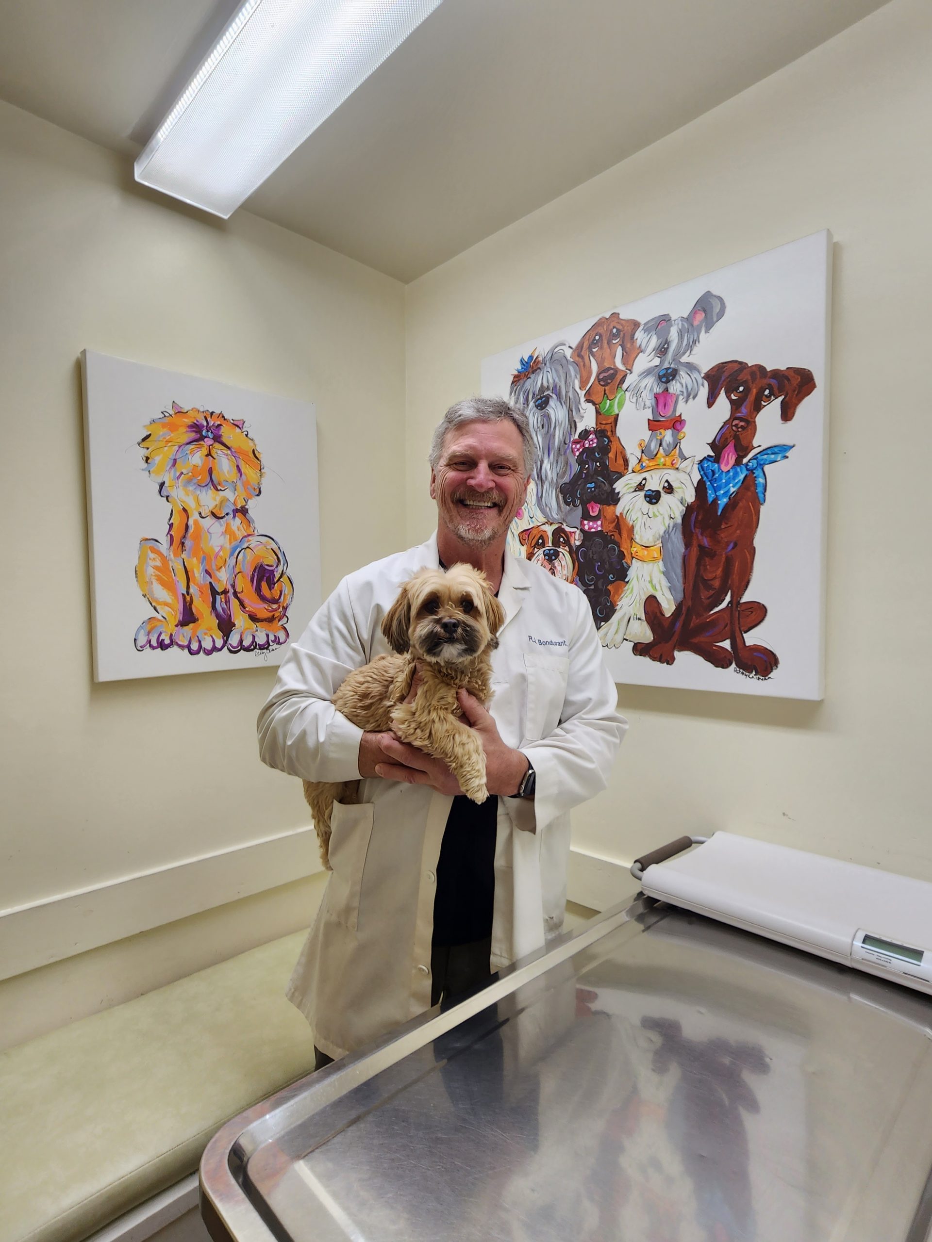 Veterinarian in San Juan Capistrano, CA